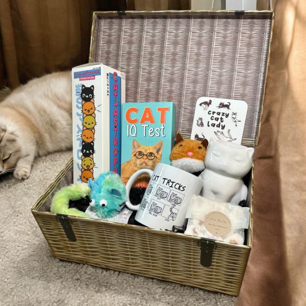 Purrfectly Pampered Cat Kit with toys, mugs, and books in a wicker basket.