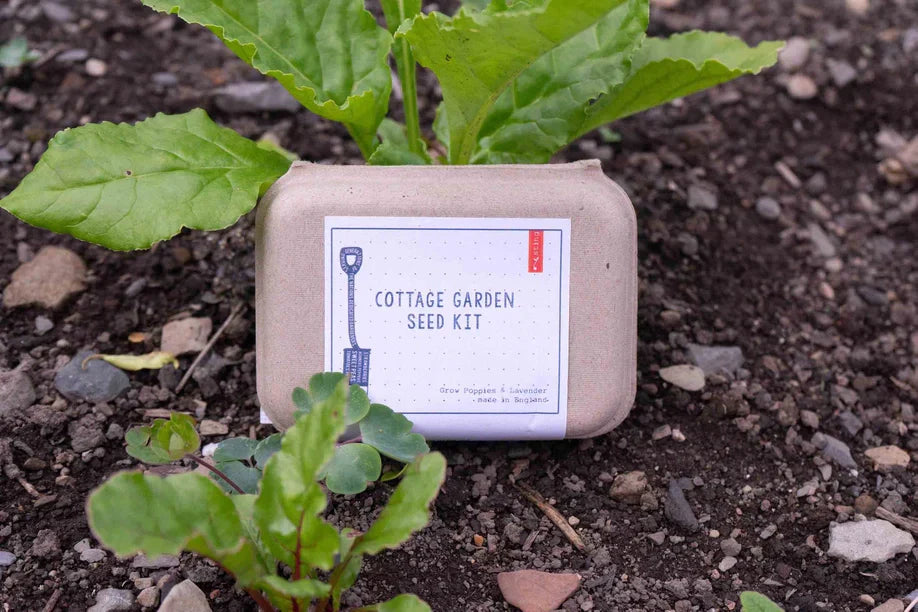 Cottage Garden Seed Kit with compost and plant markers in recyclable container on soil.