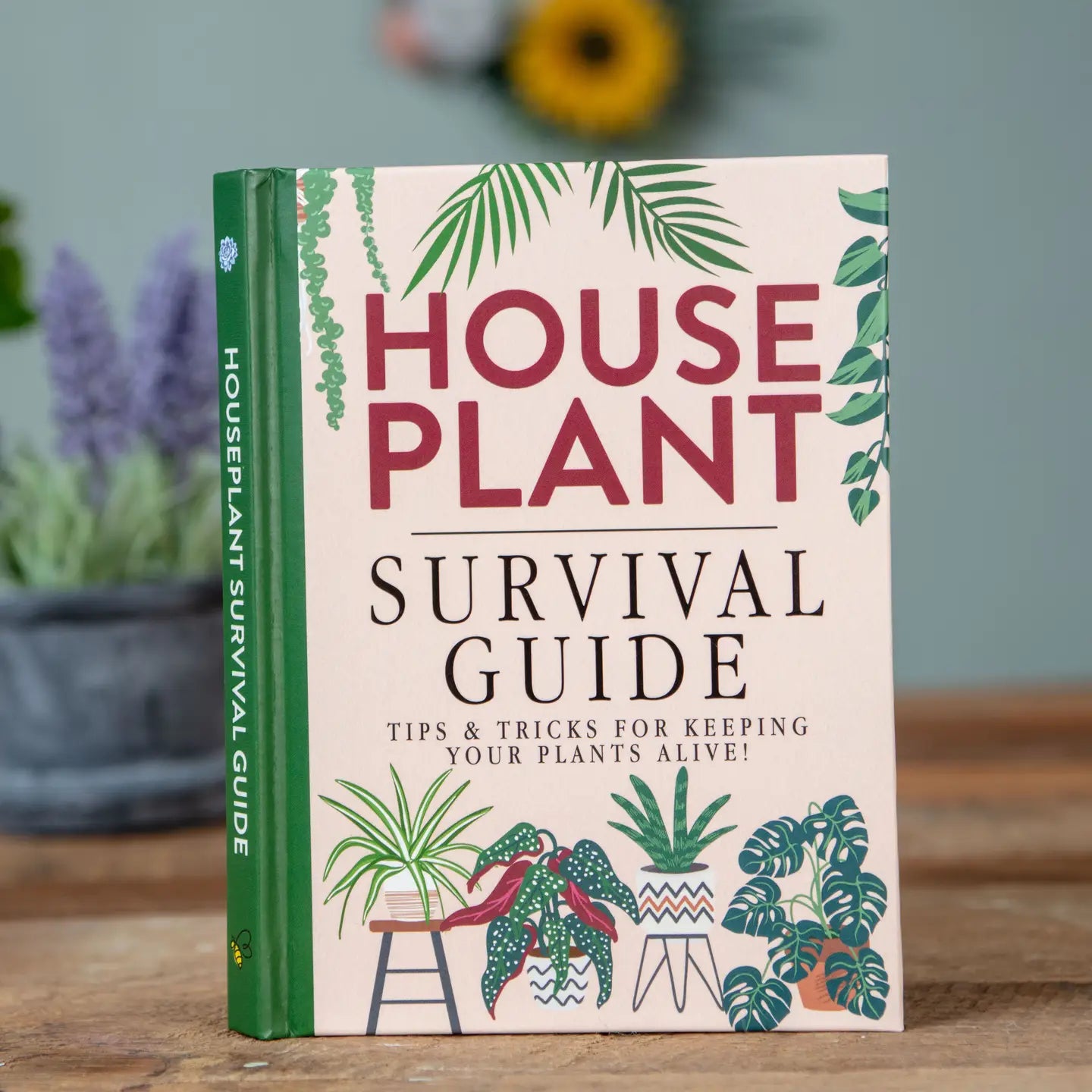 Houseplant Survival Guide book with plant care tips on a wooden table.