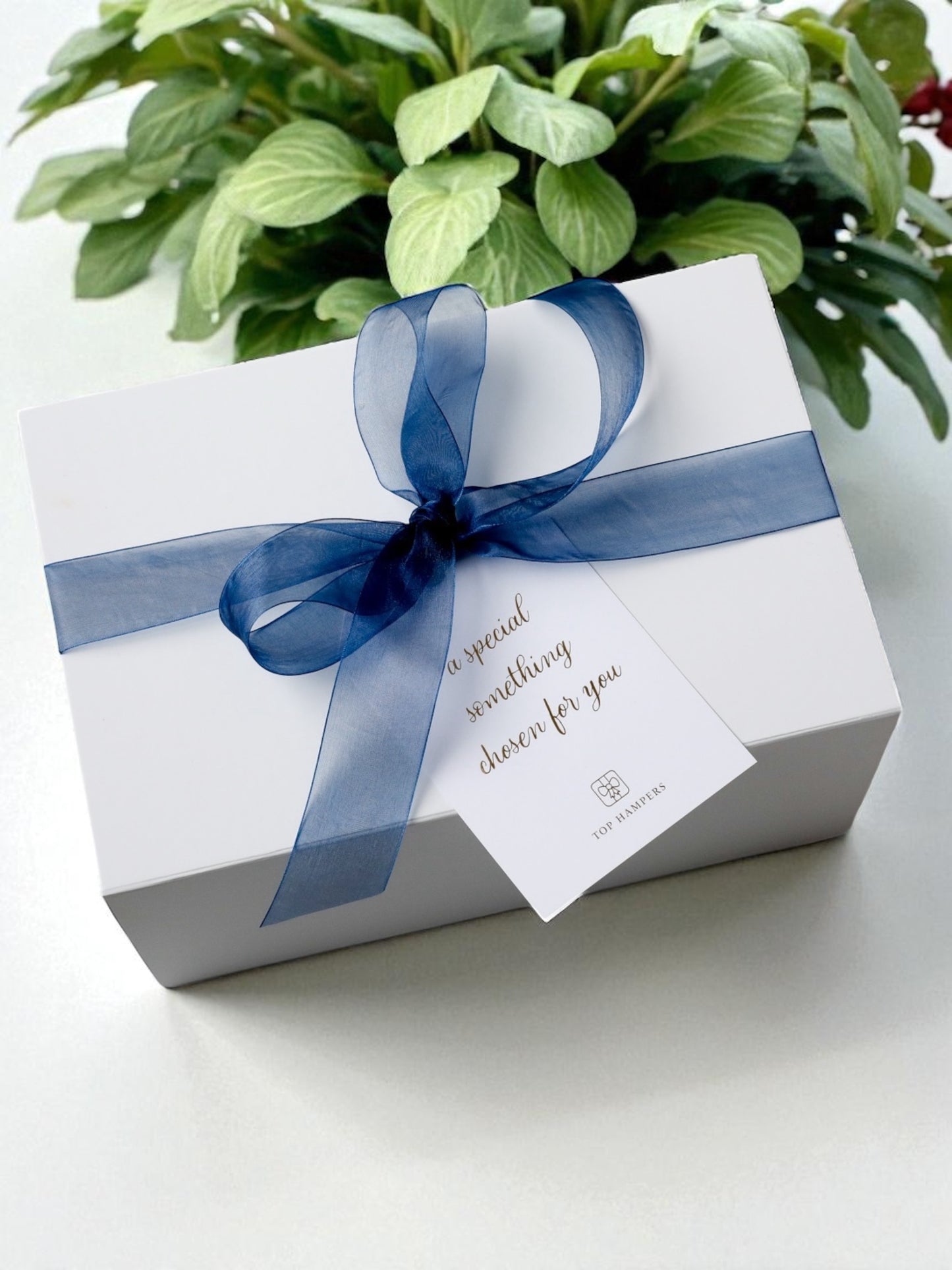 Luxury Box With Bow - White