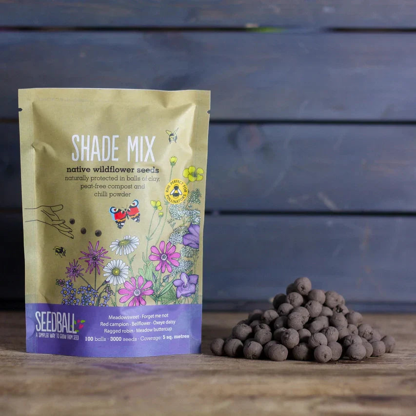 Wildflower Seedball Bag - Shade Mix for vibrant shady garden areas.