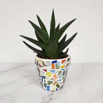 Mosaic Planter Craft Kit with succulent plant in colorful tile-decorated terracotta pot.