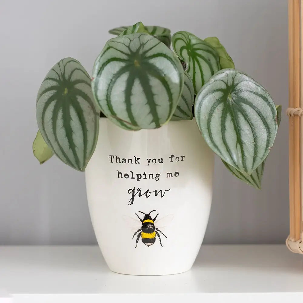 Thank You For Helping Me Grow ceramic plant pot with leafy plant.