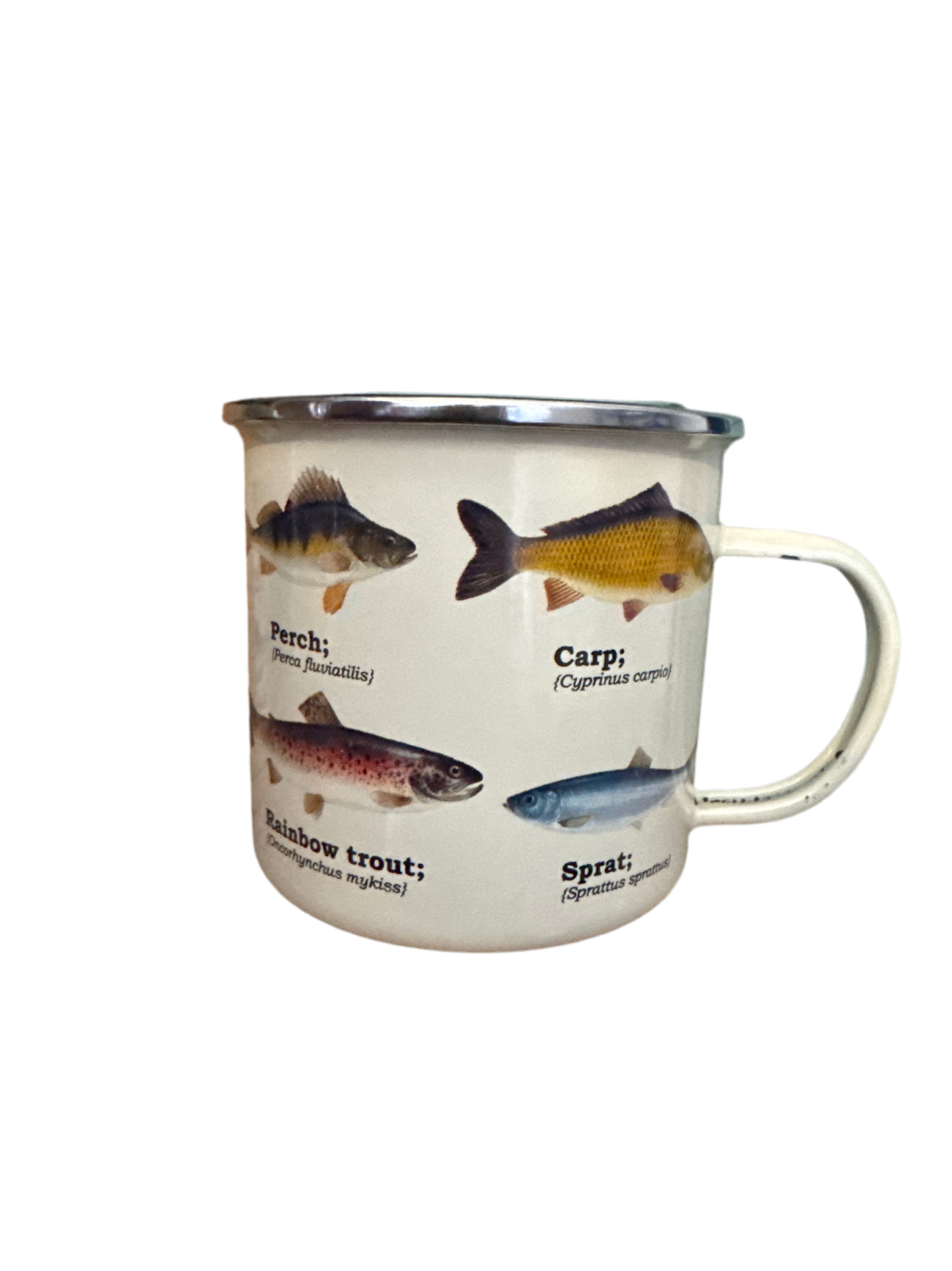 Fish Mug