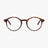 Barner - Le Marais Tortoise Screen Glasses