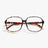 Barner Pascal Glossy Tortoise Screen Glasses