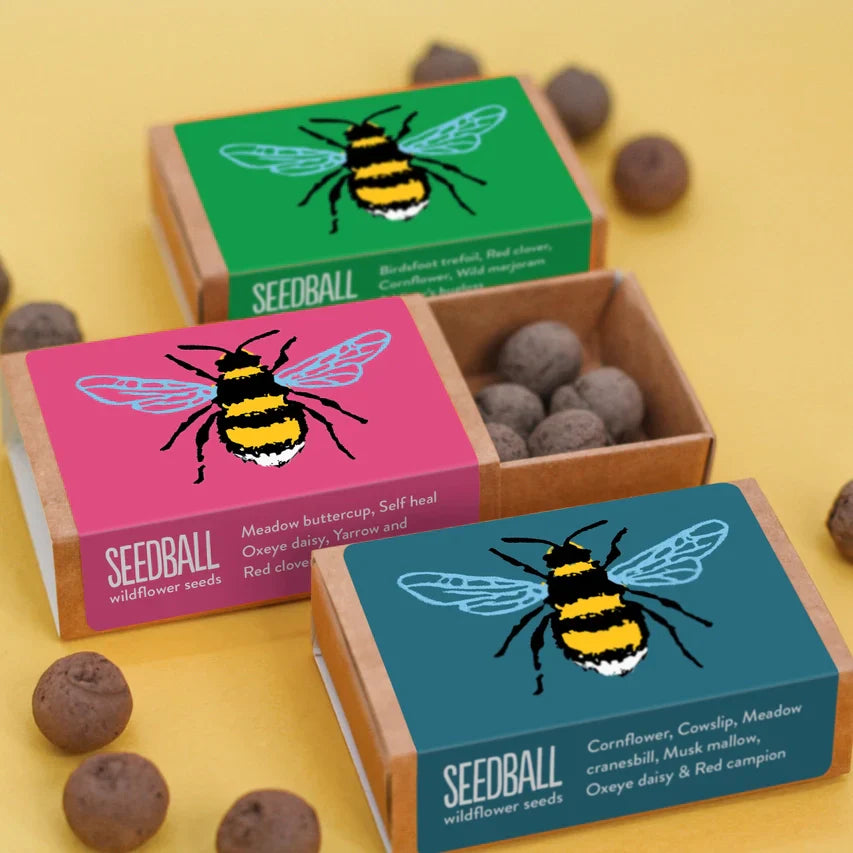 Pink Bee Seedball Wildflower Box with bee-friendly seeds for vibrant gardens.