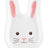 Cute Children's Easter Bunny Plate