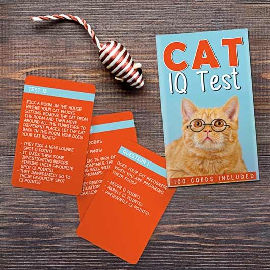 Cat IQ Test game for cat lovers with entertaining cards.