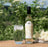 Elderflower Cordial | 500ml