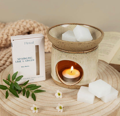 Sparkling Lime and Ginger Wax Melts 80g