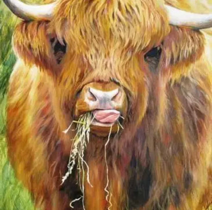 Highland Cow, 1000 Piece Jigsaw Puzzle