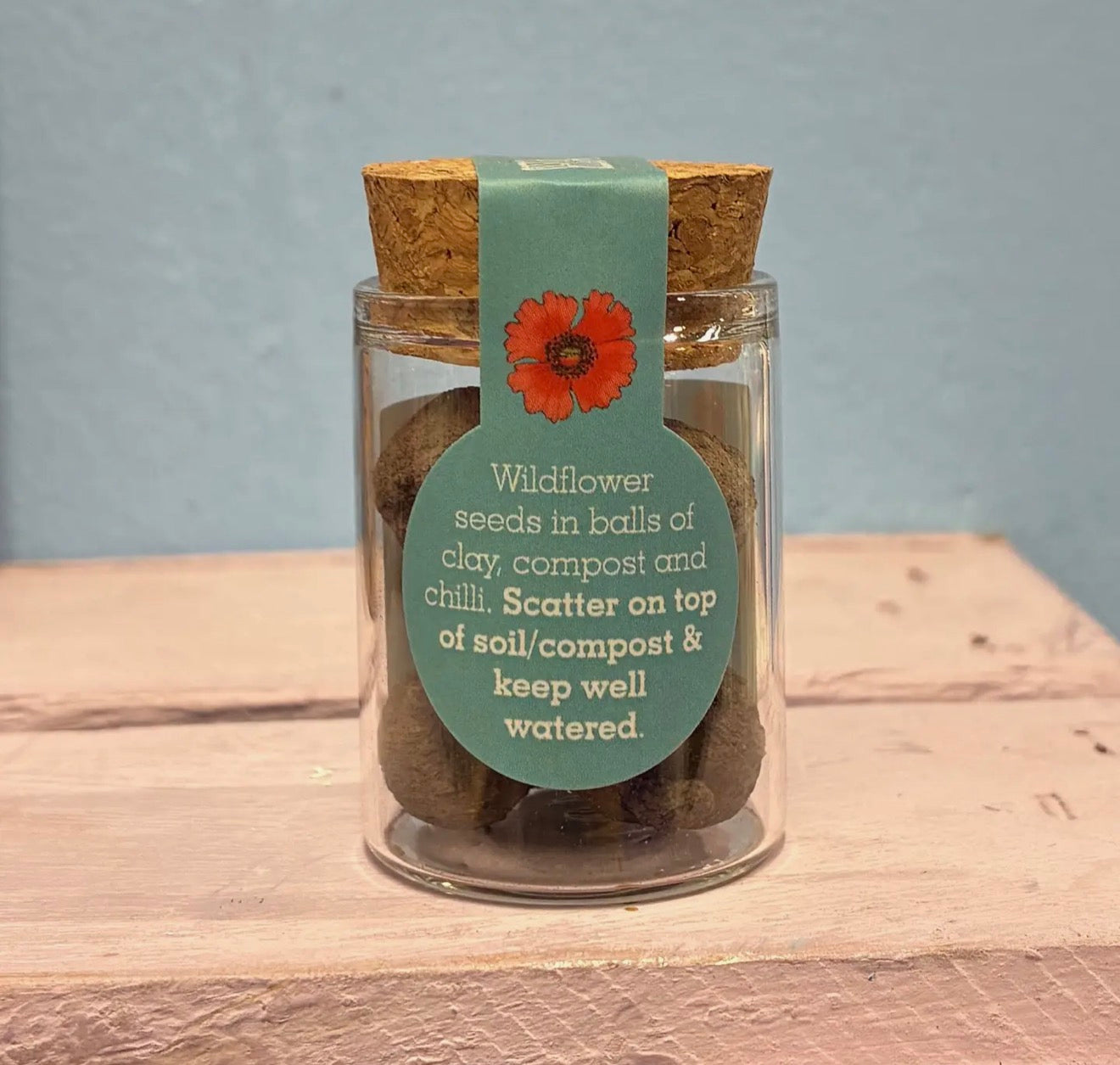 Mini Wildflower Seed Bombs in a Jar | 2 Varieties