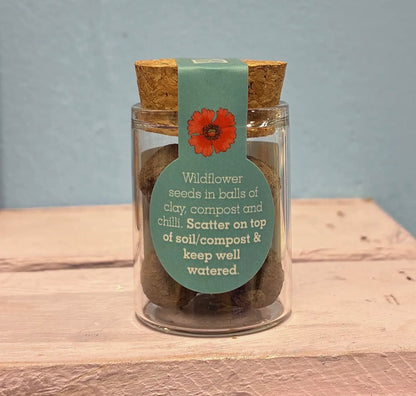 Mini Wildflower Seed Bombs in a Jar | 2 Varieties