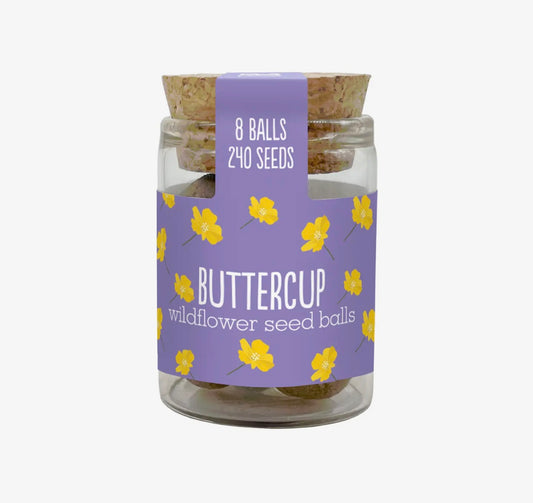 Mini Wildflower Seed Bombs in a Jar | 2 Varieties