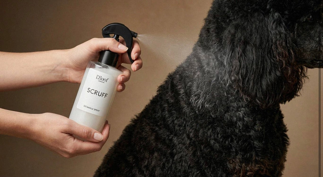 L’Floof Dog Detangle Spray Scruff 250ml