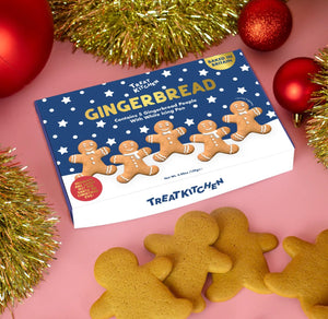 Gingerbread People Decorating Kit
