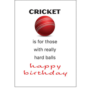Witty Cricket Lovers Birthday Card