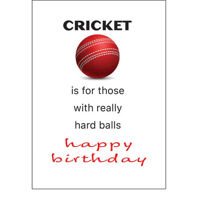 Witty Cricket Lovers Birthday Card