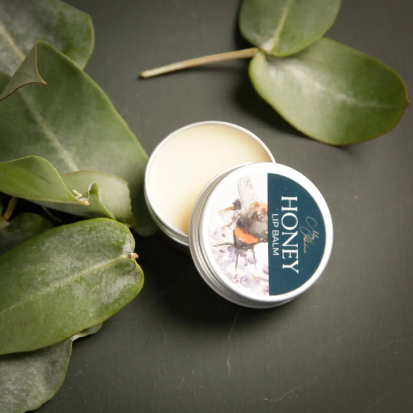 Honey Lip Balm with Bee Design in tin, surrounded by green leaves.