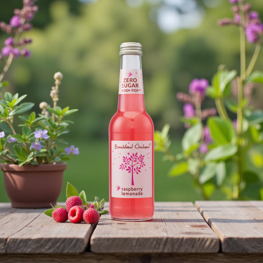 Refreshing & Delicious ZERO Sugar Raspberry Lemonade 275ml