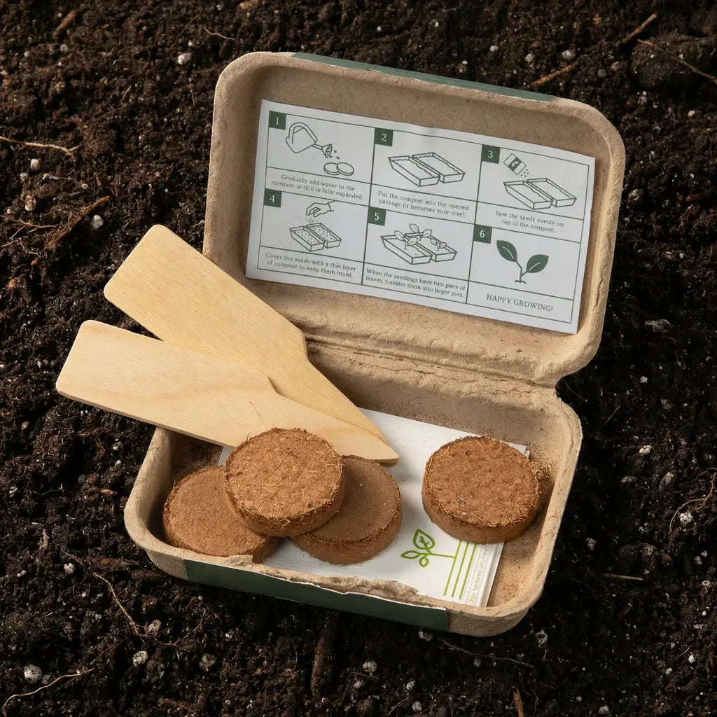 Mini herb garden kit for growing basil, chives and parsley at home on a windowsill or in the kitchen.