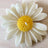 White Daisy Mini Candle