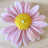 Pink Daisy Mini Candle