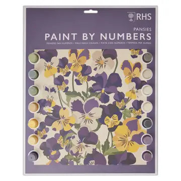 Royal Horticultural Society Paint By Numbers kit with pansies design in A3 size.