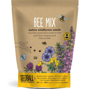 Seedball Wildflower Grab Bags - Bee Mix