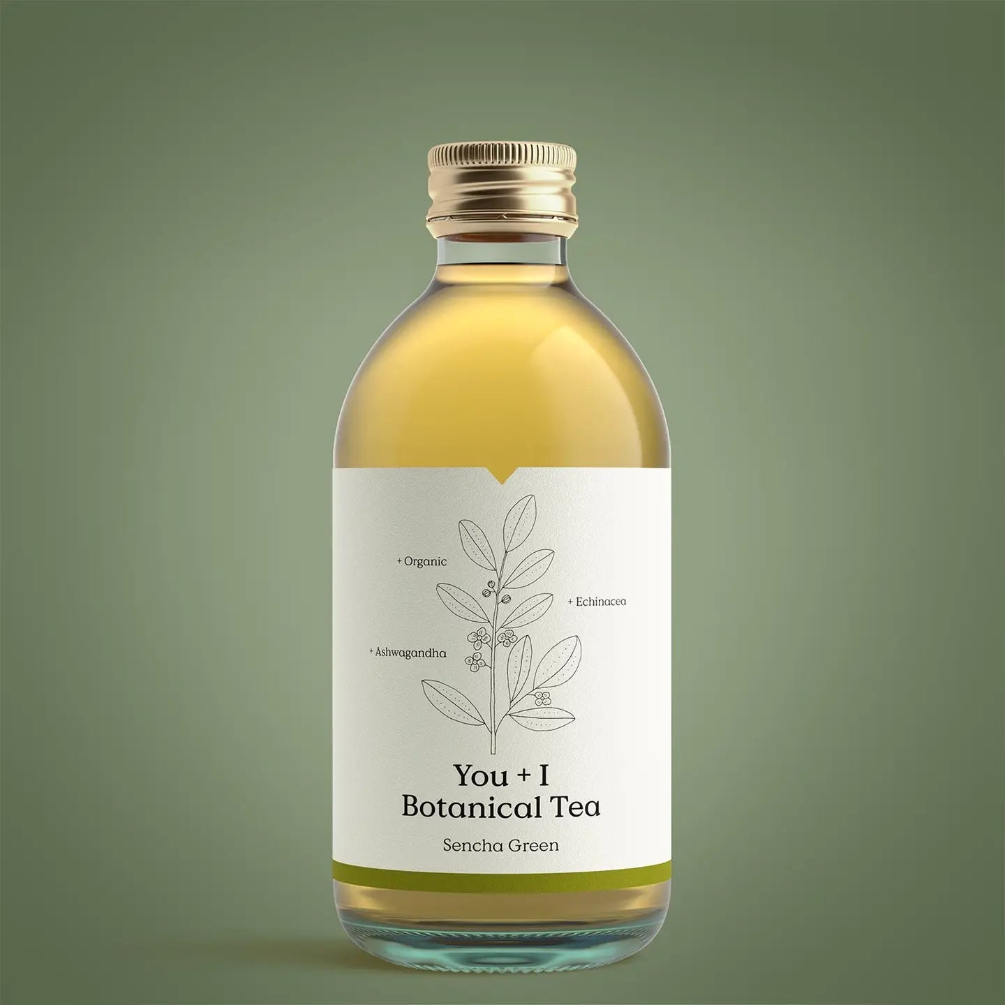 Sencha Green Botanical Tea