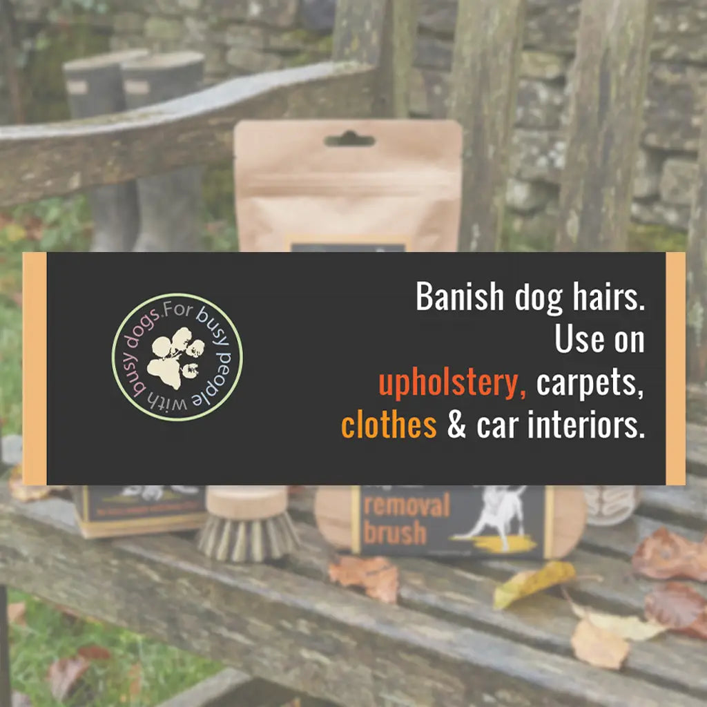 Silicone dog grooming brush with wooden handle for removing loose hair and reducing shedding.