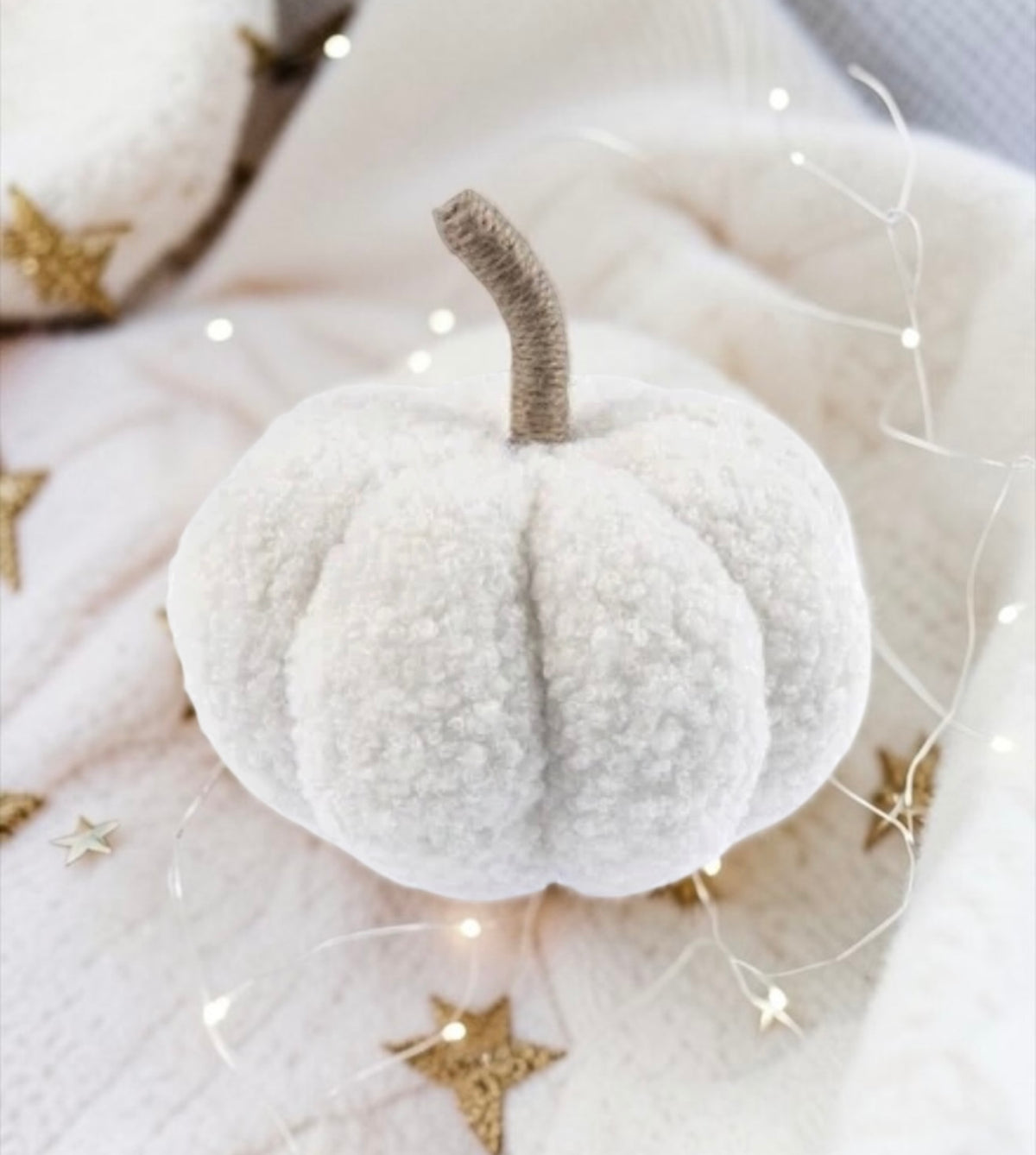 Add a charming touch to your Halloween or autumn decor with this White Borg Pumpkin. This decoration adds a cute and cosy feel to any home. 12cm in size.