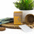 Grow your own Money Plant Kit - Money Does Grow On Trees