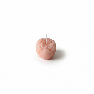 Mini Peony Candle in Blush Pink