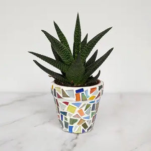 Mosaic Planter Craft Kit