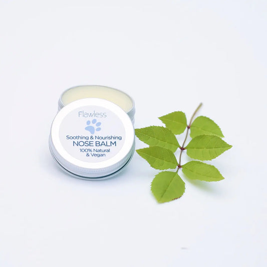 Nose Balm for Dogs - All-natural, vegan, soothing, and nourishing balm with leaves.