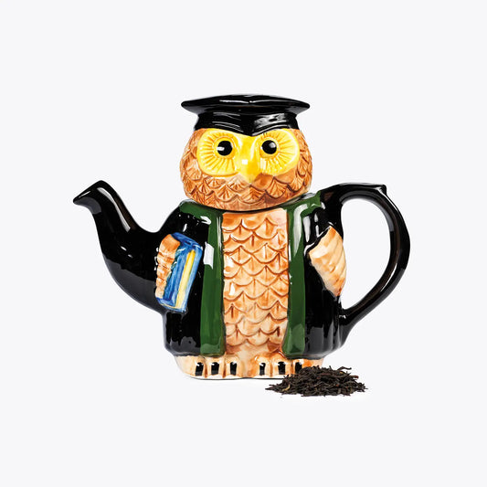 Handmade owl teapot with graduation theme, perfect gift.