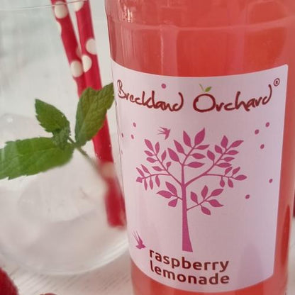 ZERO Sugar Raspberry Lemonade 275ml bottle with vibrant raspberry and lemon flavors, low-calorie refreshing drink.
