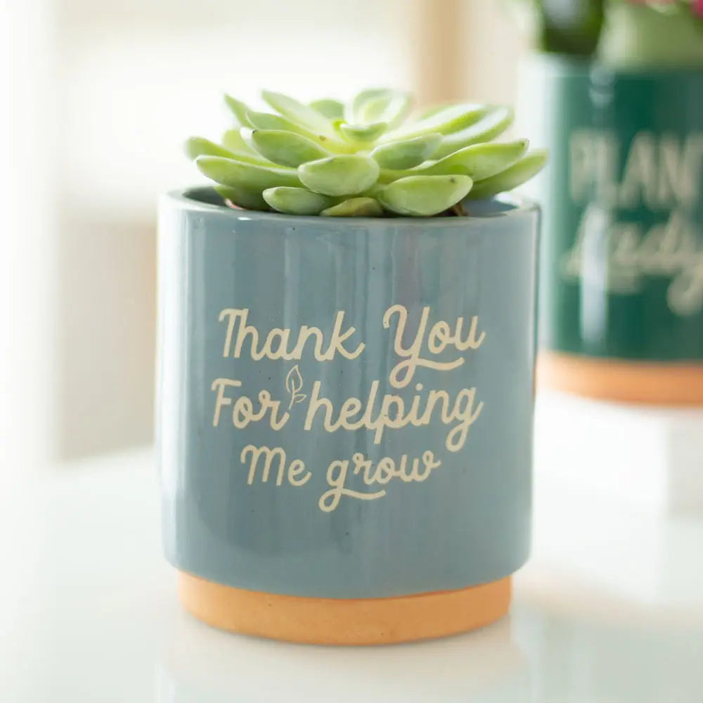 Blue ceramic plant pot with "Thank You For Helping Me Grow" message.